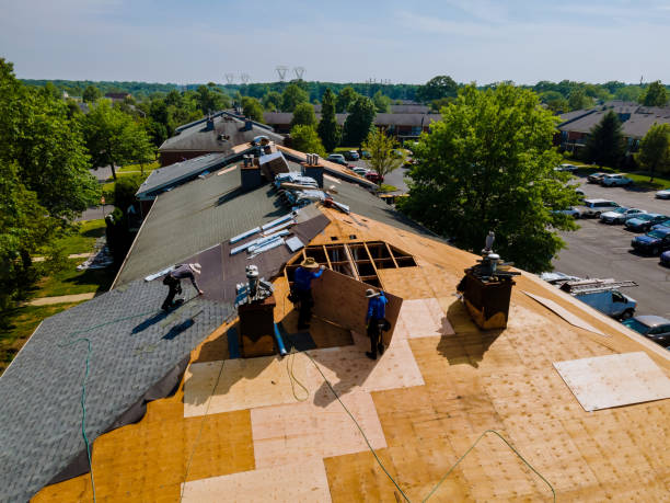 Best Metal Roofing Contractor  in Muscatine, IA