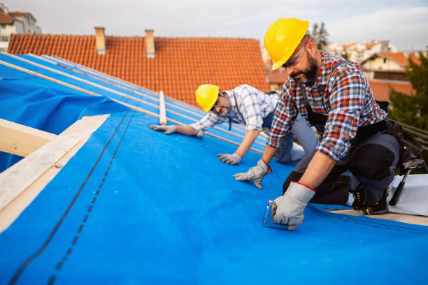 Best Residential Roofing Contractor  in Muscatine, IA