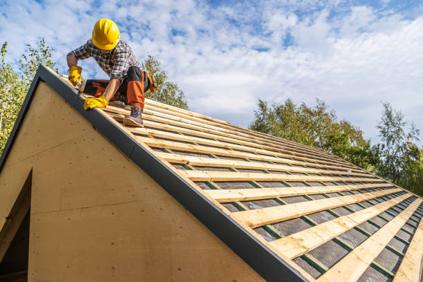 Best Metal Roofing Contractor  in Muscatine, IA