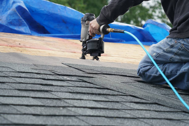Best Roof Waterproofing Services  in Muscatine, IA