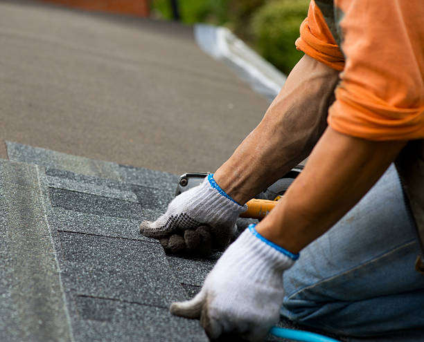 Professional Roofing Contractor in Muscatine, IA